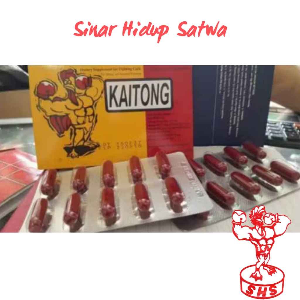 Kaitong suplemen Vitamin Ayam import 2strip