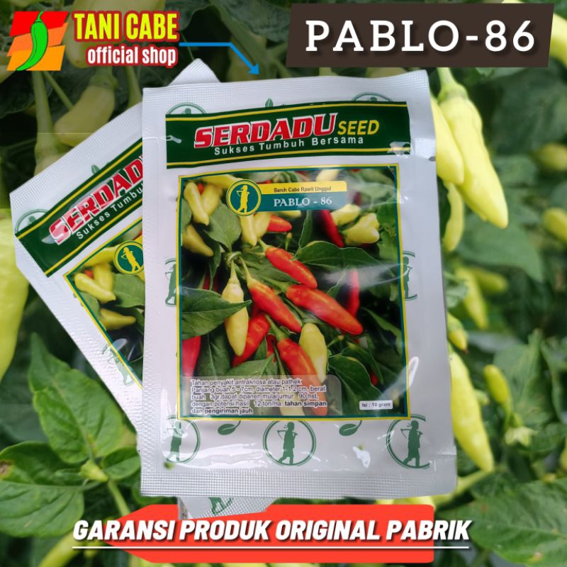 PABLO-86 Benih Cabai Rawit Unggul-10 grm original