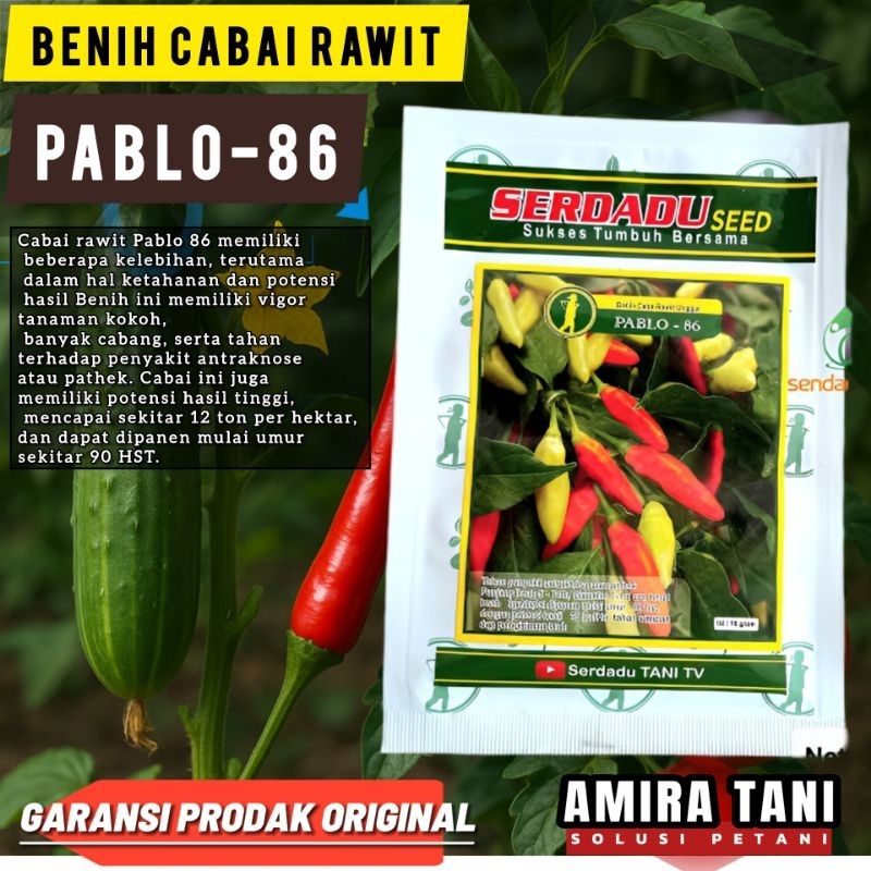 BENIH CABAI PABLO 86 KEMASAN 10 GRM ORIGINAL