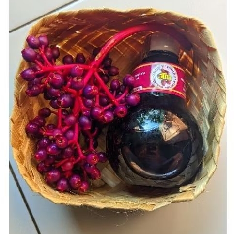 

Sirup Parijotho asli Muria tinggi Antioksidan cocok untuk Promil