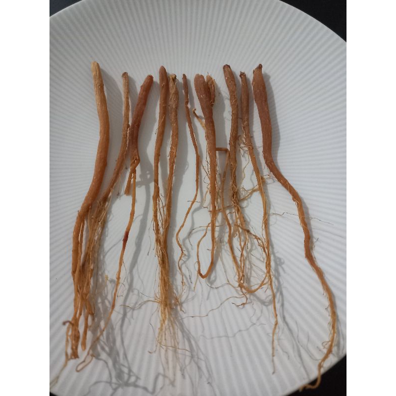 

Ginseng Merah Korea 10gram