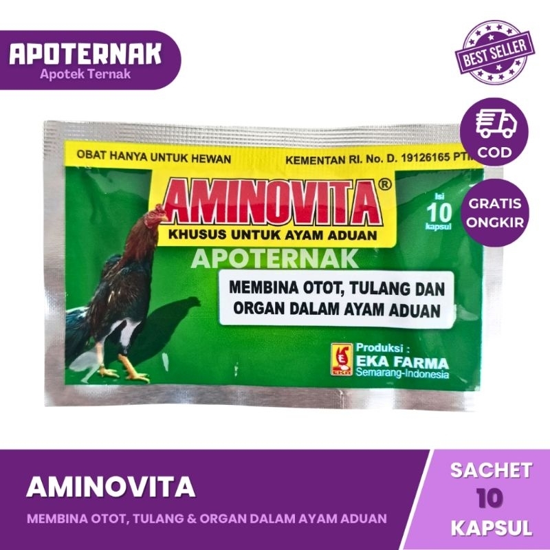 AMINOVITA KAPSUL - Obat Penguat Otot Tulang & Organ Dalam Ayam Aduan - Obat Ayam