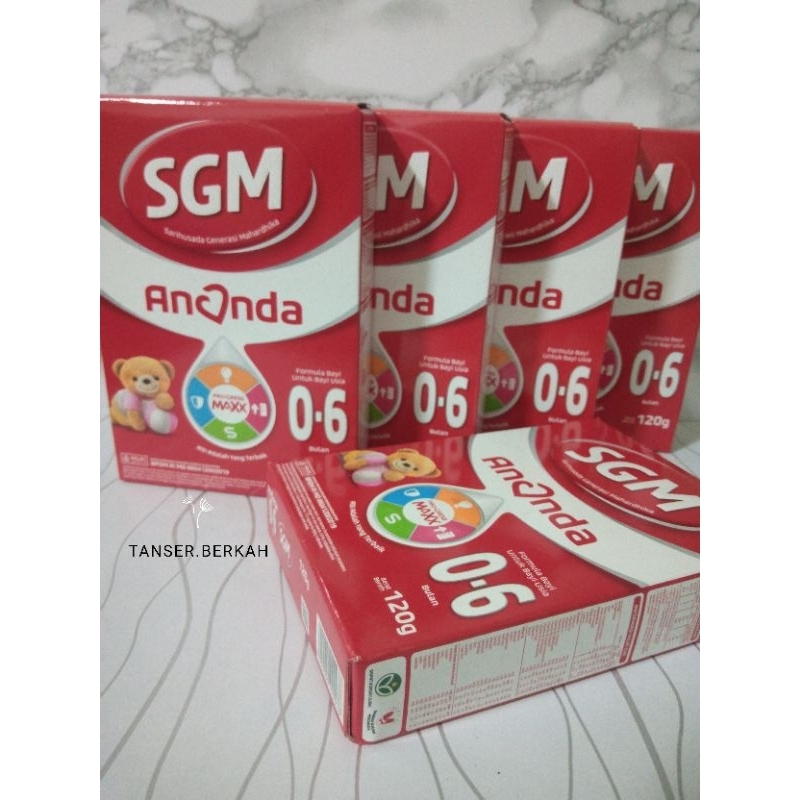 SGM ANANDA 0-6 BULAN (120 gram)