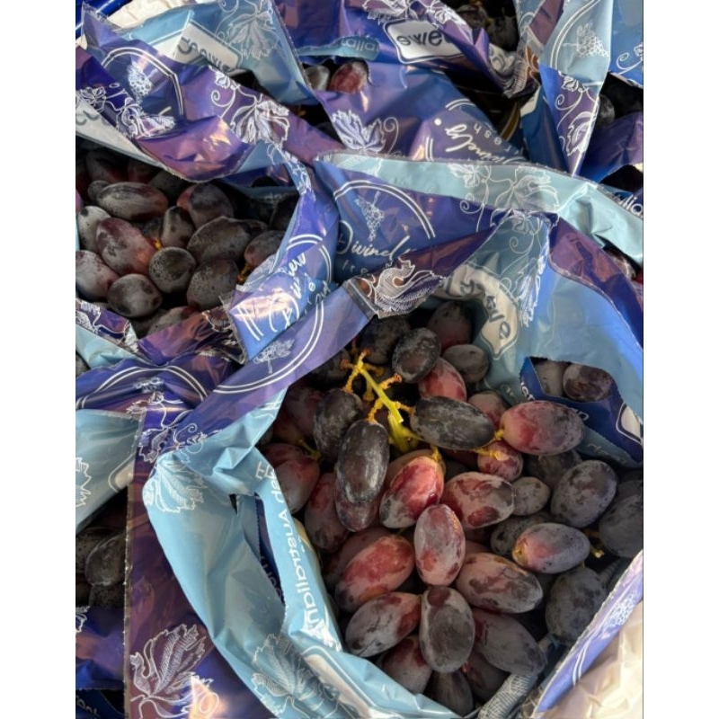 

Anggur Autumn sweet Joy 1 kardus 9kg