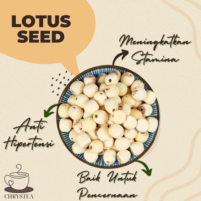 

CHRYSTEA || Lotus Seed / Biji Teratai 20gr/50gr