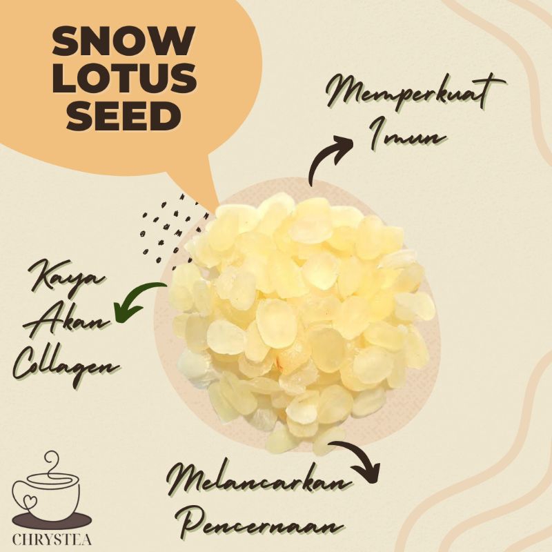 

CHRYSTEA || Snow Lotus Seed 25gr/50gr