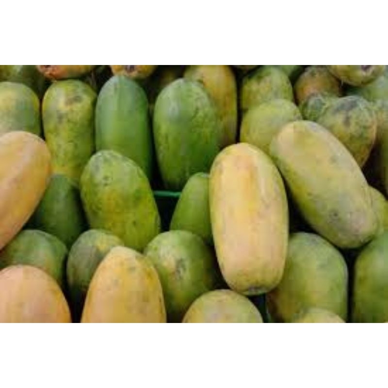 

pepaya california bygrubbuah