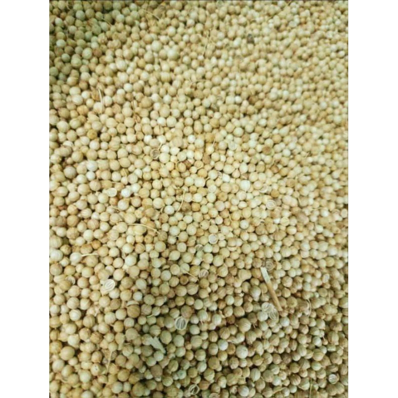 

KETUMBAR ALAMI KUALITAS BAGUS