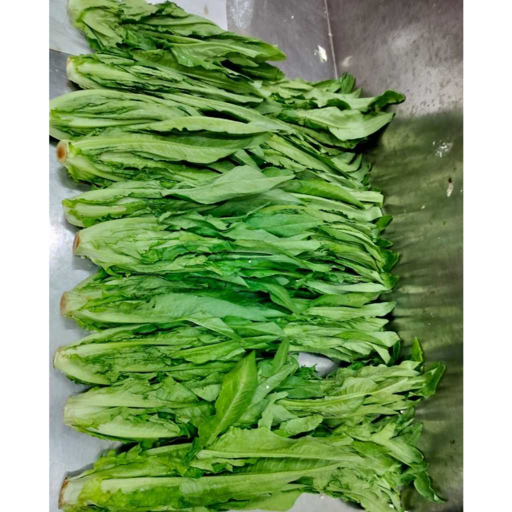 

Sayur Sweet Oat 1 Dus (4 KG) Fresh Import