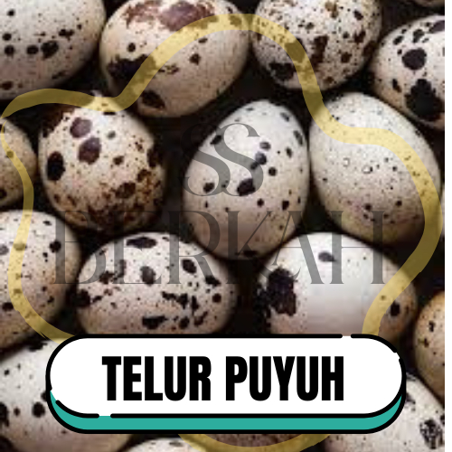 

Telur Puyuh 1 kg Bandung murah