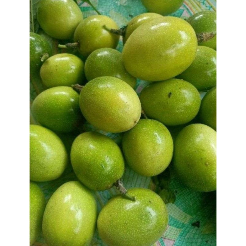 

buah markisa segar 1kg