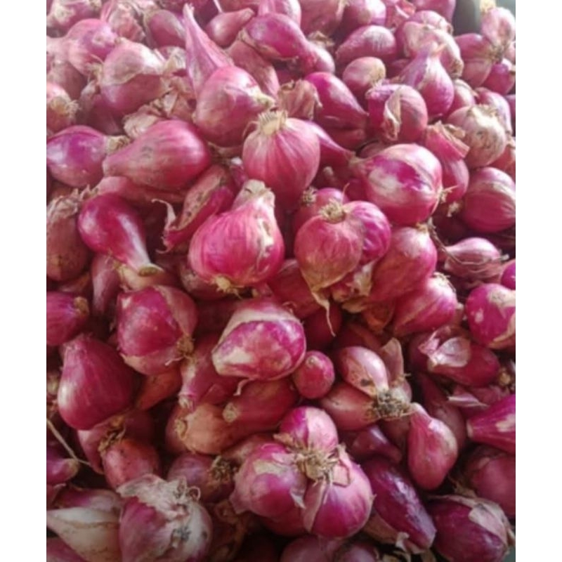 

Bawang Merah promo/Bawang merah murah/ Bawang merah 1kg/Berambang