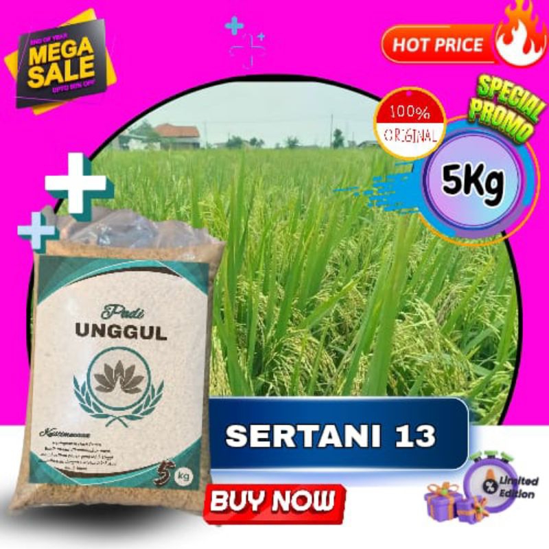 Benih padi unggul sertani 13 benih padi berkualitas sertani original kemasan 5kg