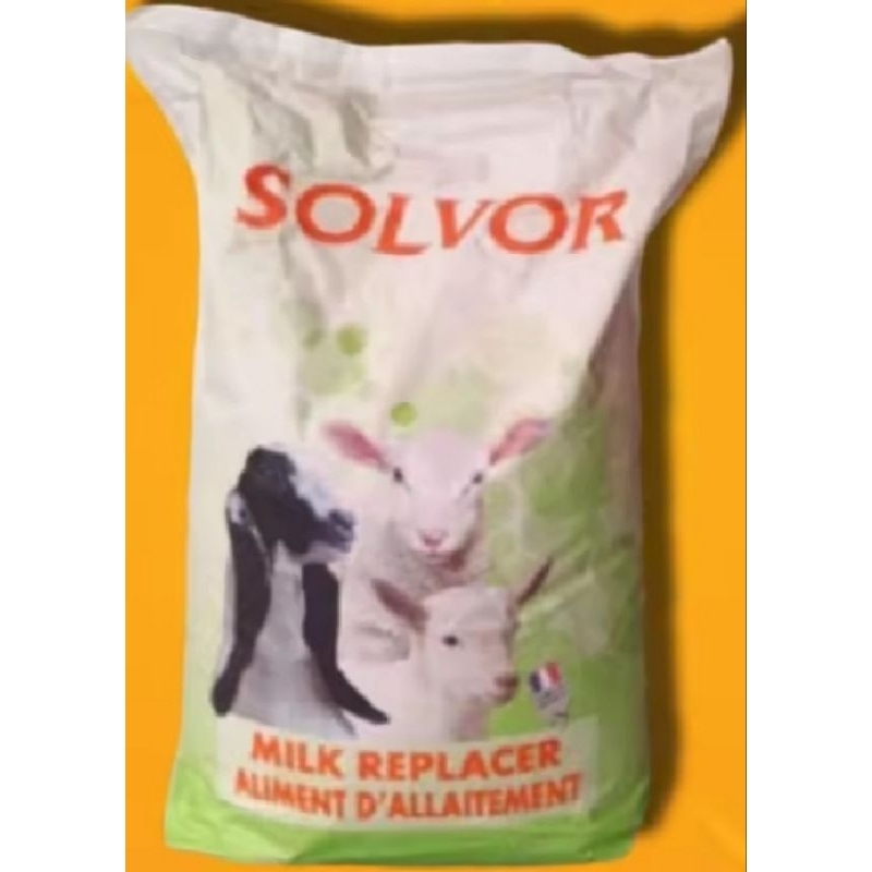 SOLVOR SUSU CEMPE PEDHET FORMULA SUSU PENGGANTI INDUKAN SAPI KAMBING DOMBA