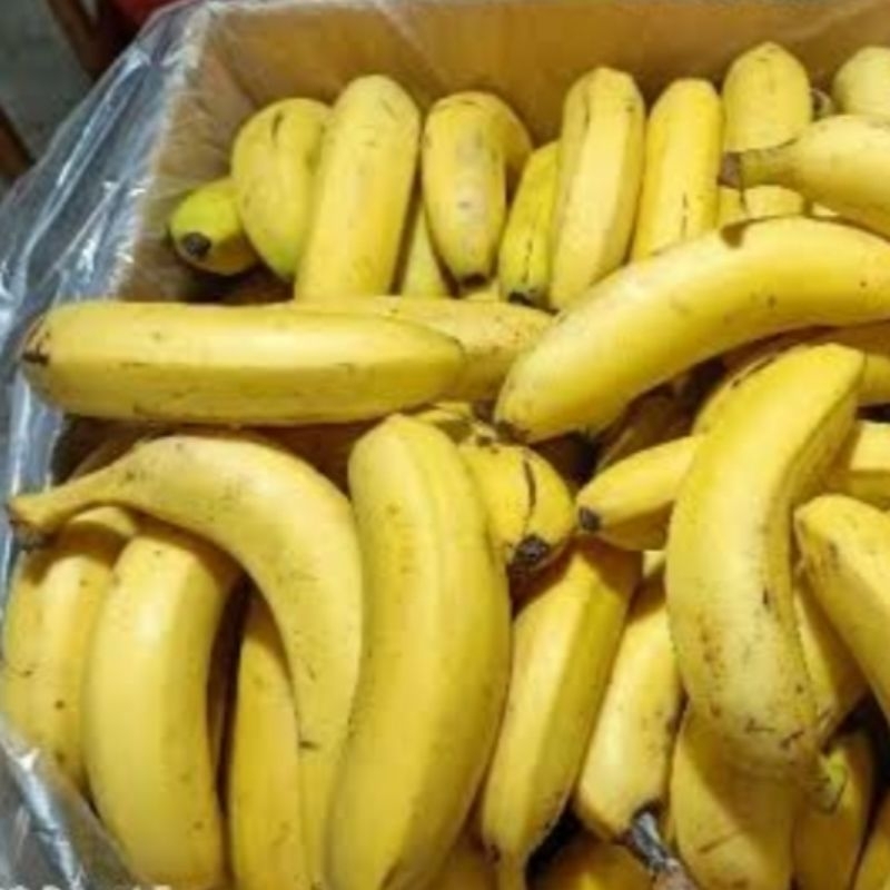 

Buah Pisang Sunpride Bijian Cavendish Banana 500gr Manis Legit Segar Fresh Sehat Promo Termurah Hemat Harga Terjangkau