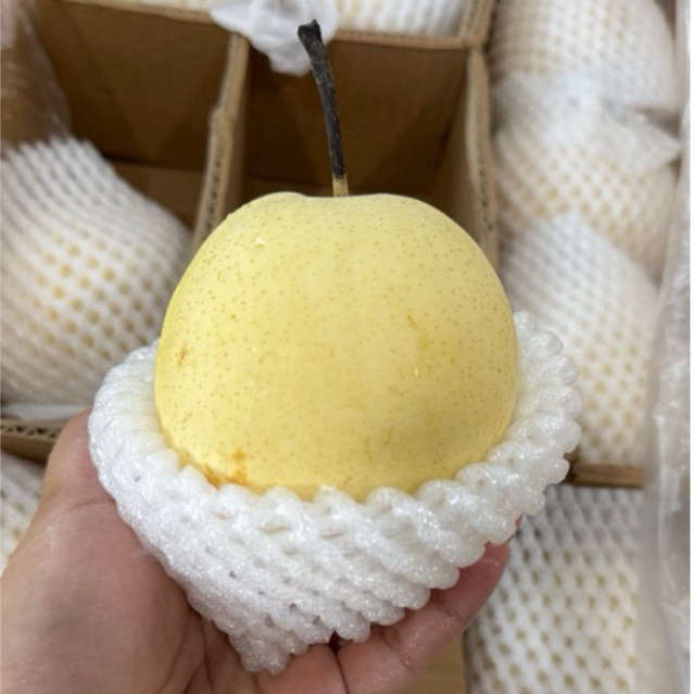 

Buah Pir Pear Century