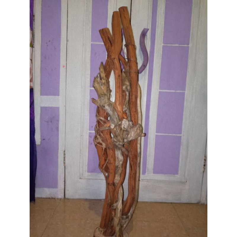 akar mimang asli alami perpaduan antara Tlogosari dengan santigi gunung untuk yang hobi koleksi