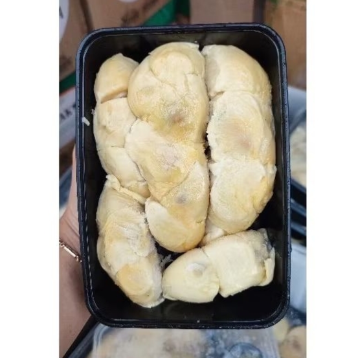 

DURIAN KUPAS MEDAN PREMIUM JAKARTA UTARA