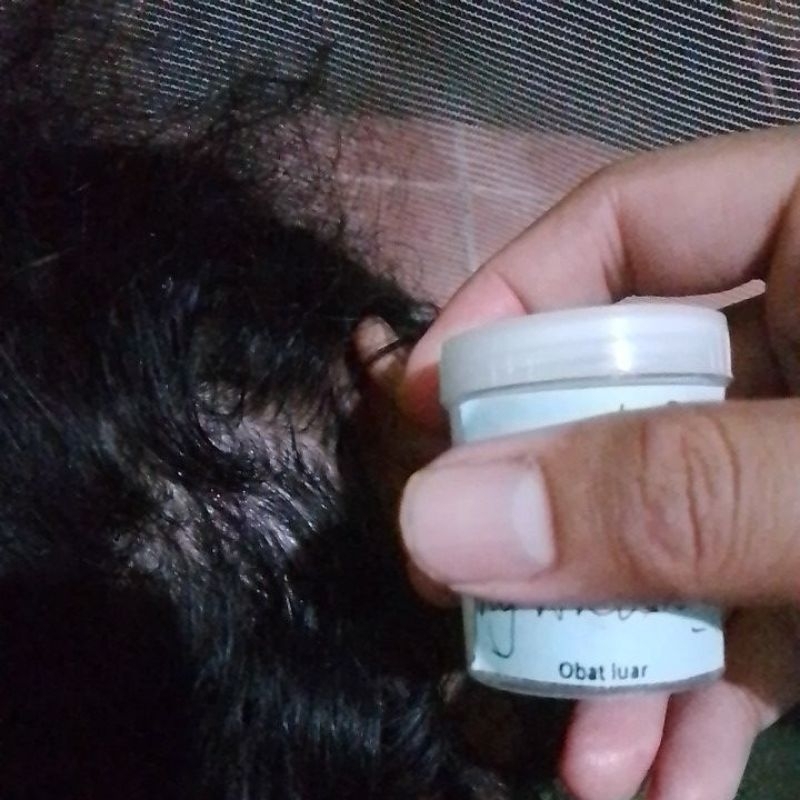 Salep dermatitis sebiroik, Psoriasis, Lichen planus, Folikulitis, Tinea kapitis, Alopecia areata