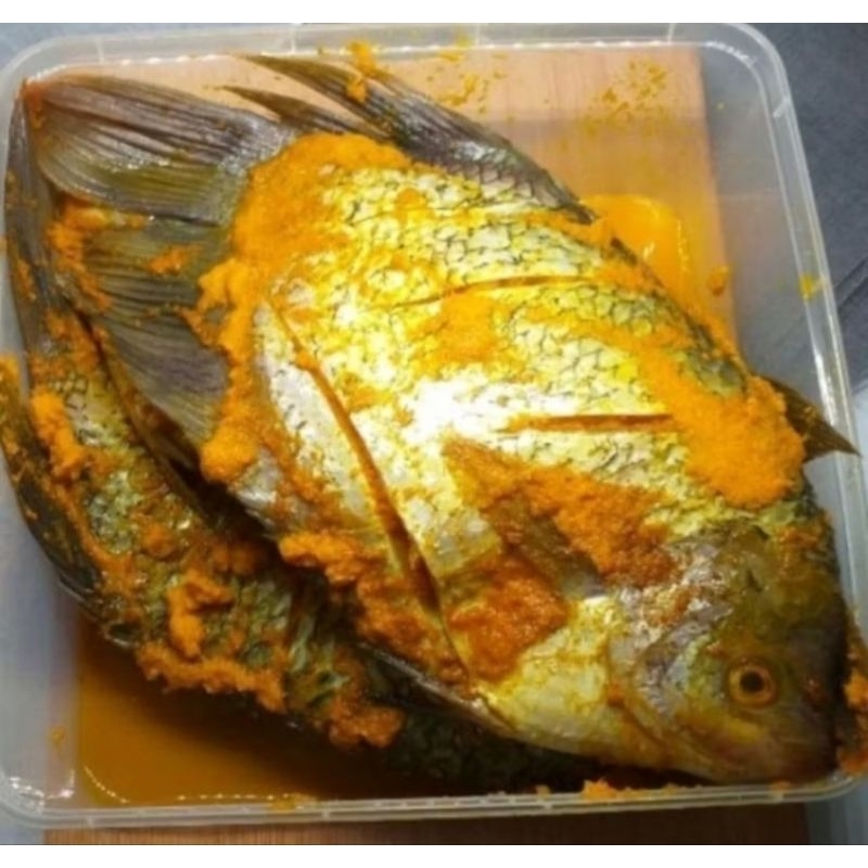 

Ikan gurame bumbu kuning 500gr..