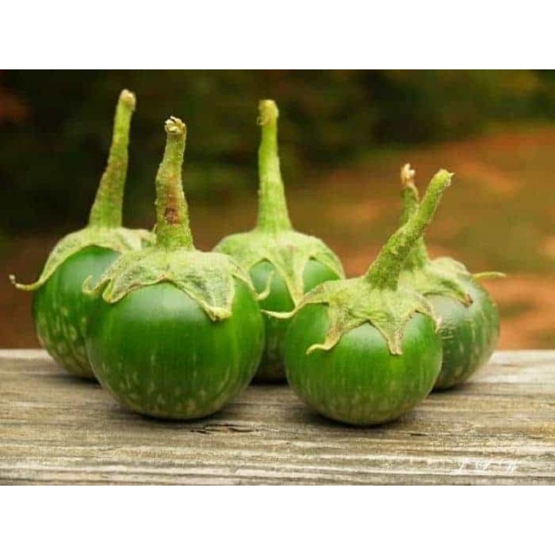 

JYOTI TERONG ACAR BEBERUK HIJAU 500 GR