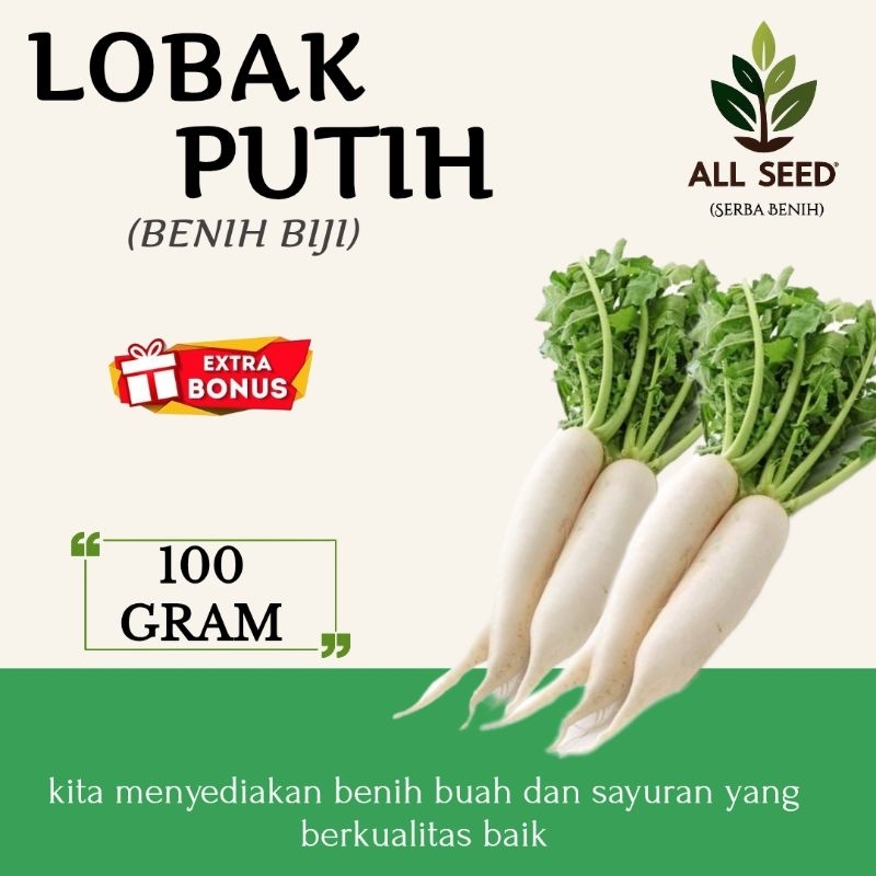 Benih lobak putih batang besar paket (100 gram) , bibit biji lobak putih