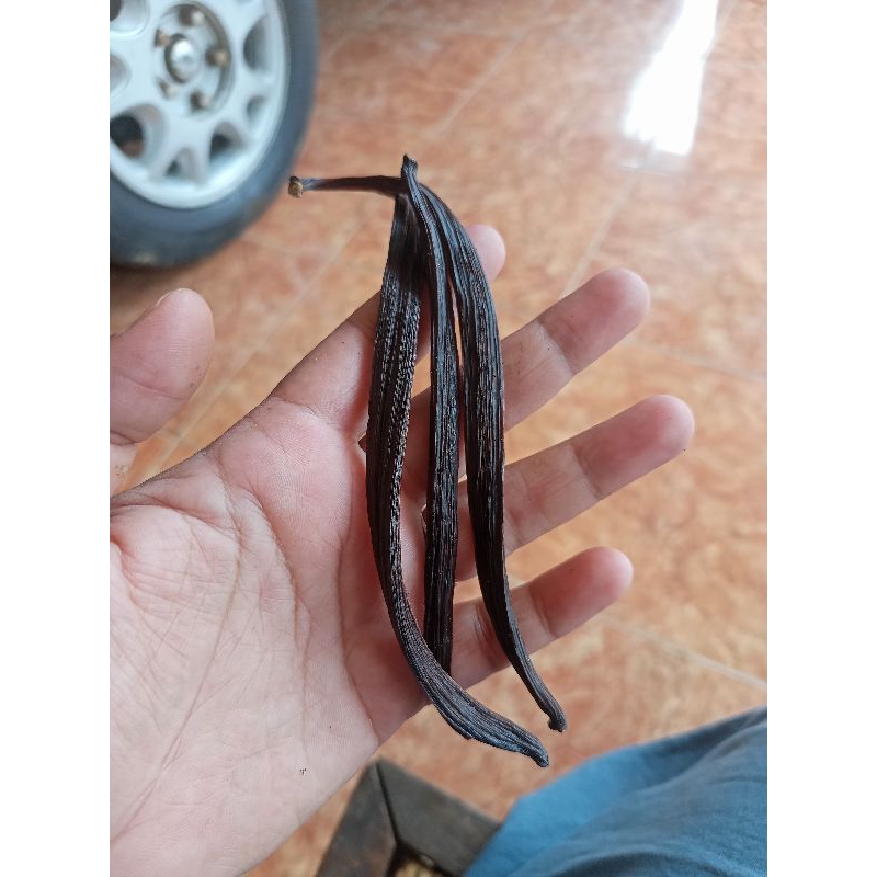 

VANILI/VANILA KERING HARGA PER BUAH 15-16CM