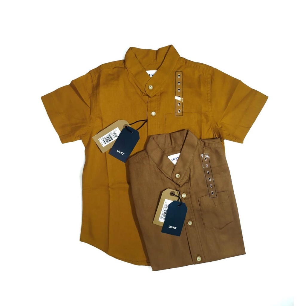 Livio - Ezio Kemeja Anak Lengan Pendek / Warna Random