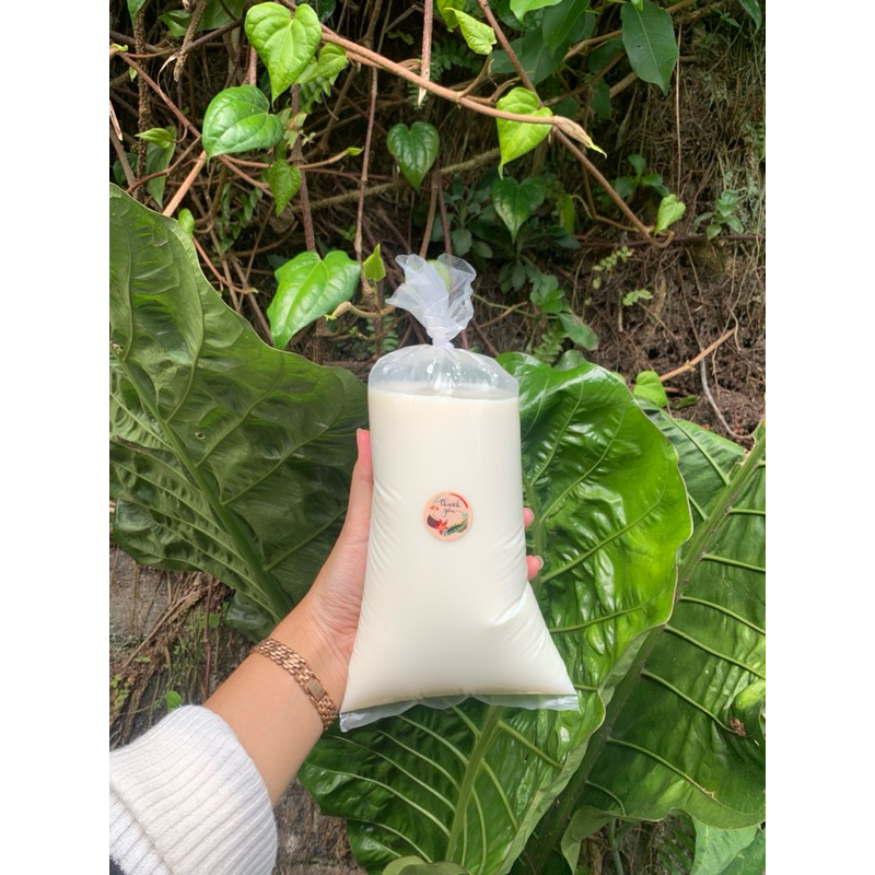 

fresh milk — Susu sapi murni 1 liter