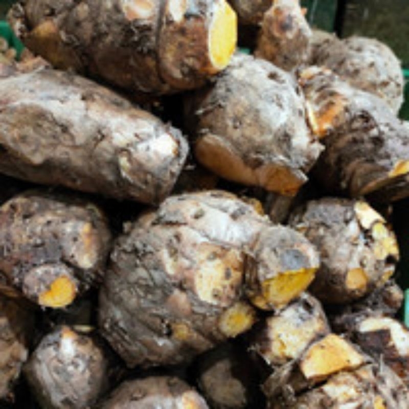 

Empu Temulawak Induk Temulawak 1 kilogram