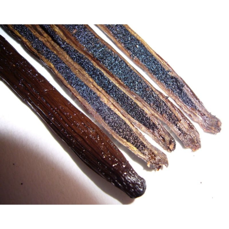 

Vanilla Bean Planifolia Grade A