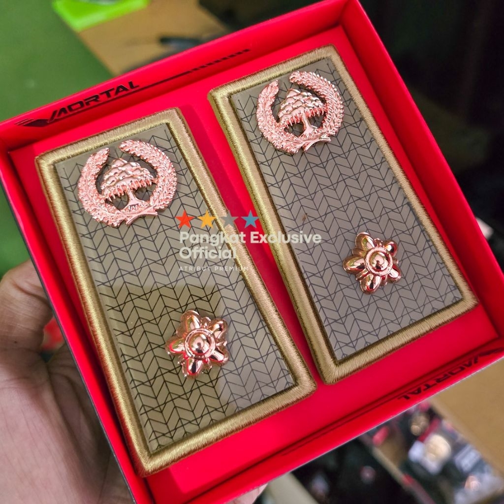 PANGKAT ASN BENGKULU 2A