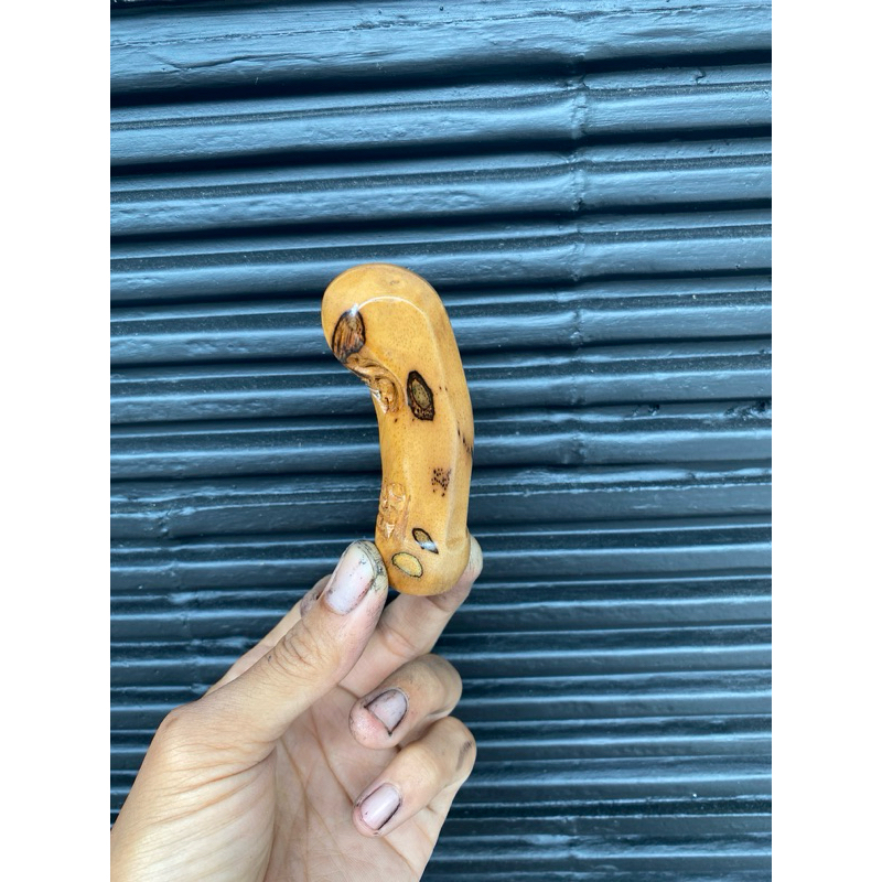 deder jogja timoho trotol