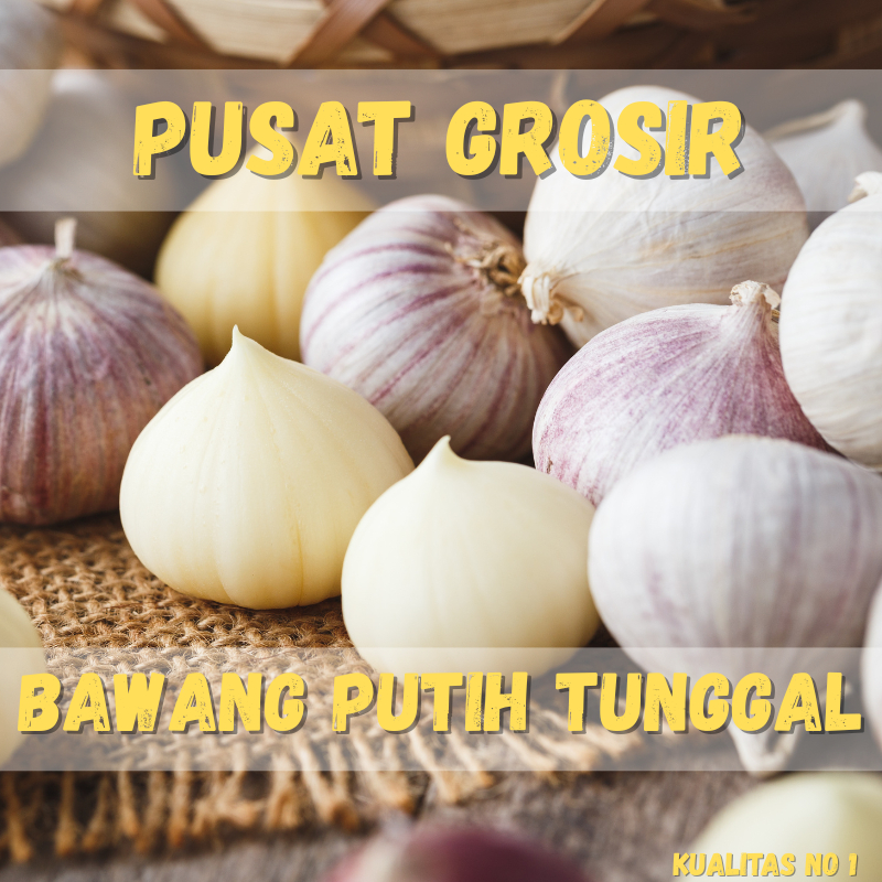 

Bawang Putih Tunggal Bawang Lanang Langsung Dari Gudang Kualitas Premium Import Super