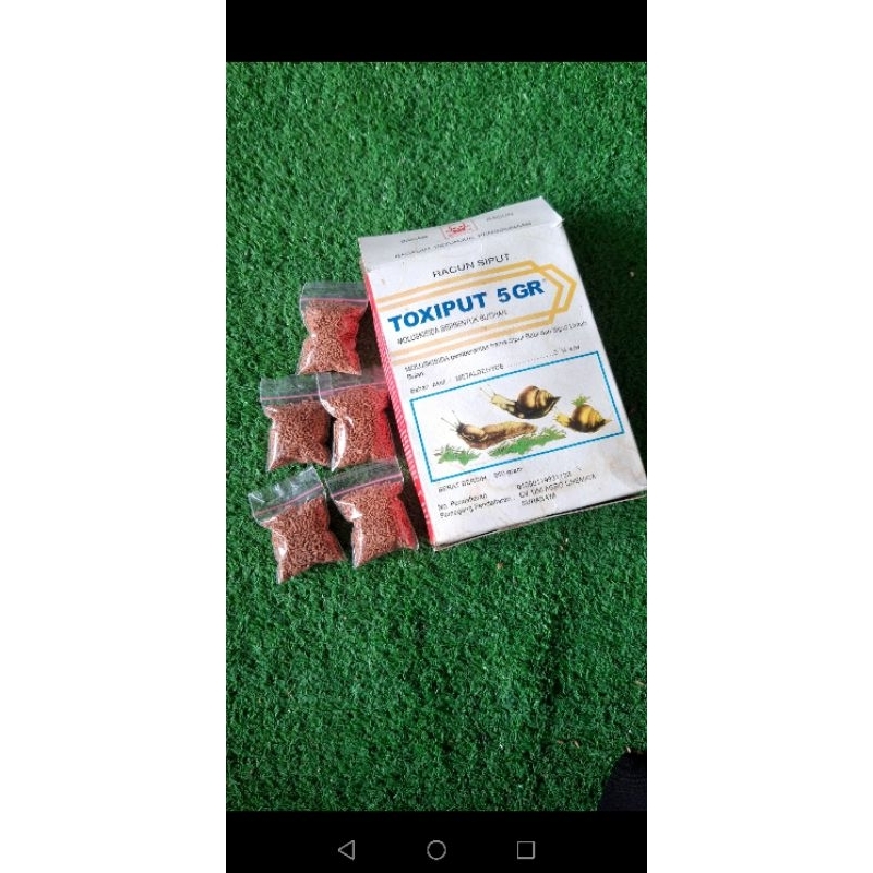 Insektisida pembasmi hama siput