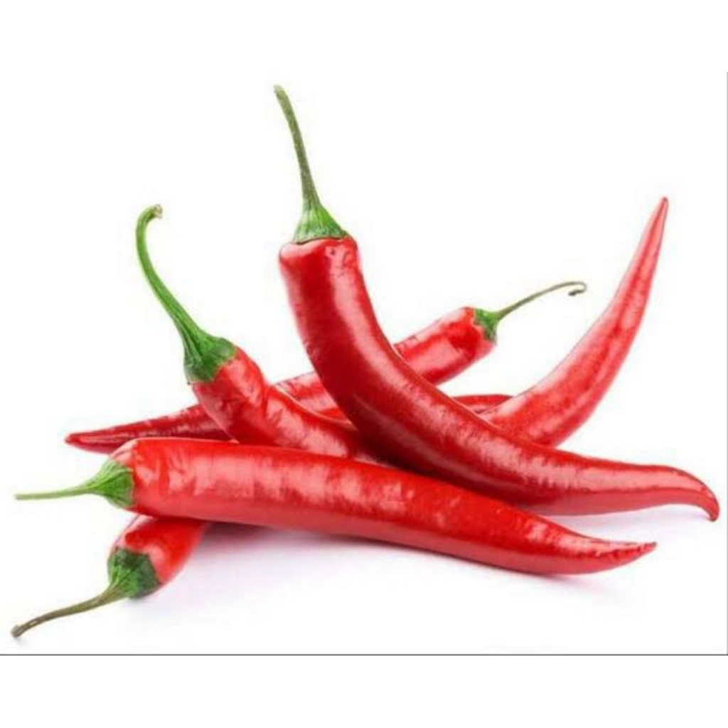 

Cabai Merah Besar