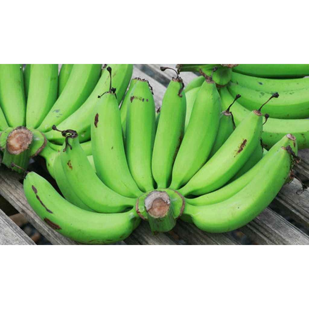 

Buah Pisang Mentah TP Merah 10 Pisang Bangkaulu