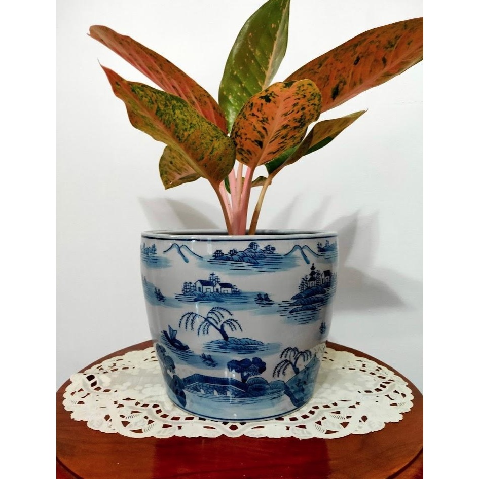 Pot Bunga Keramik Cina Bulat Size XL
