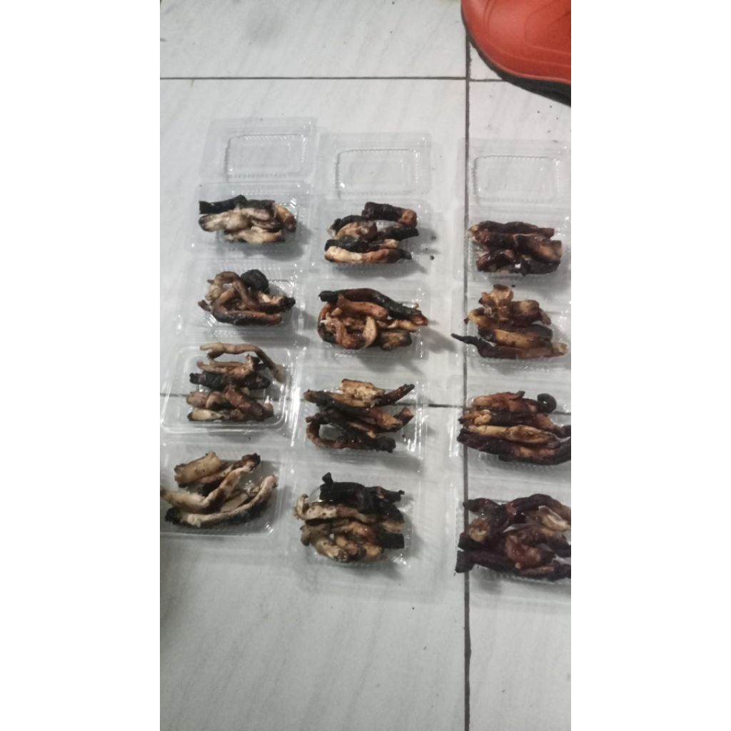 Umpan Galatama lele otot sapi bakar