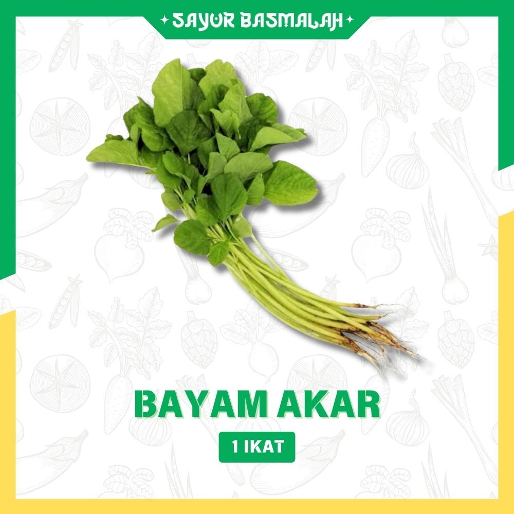 

Bayam Akar 1 Ikat- Sayur Basmalah