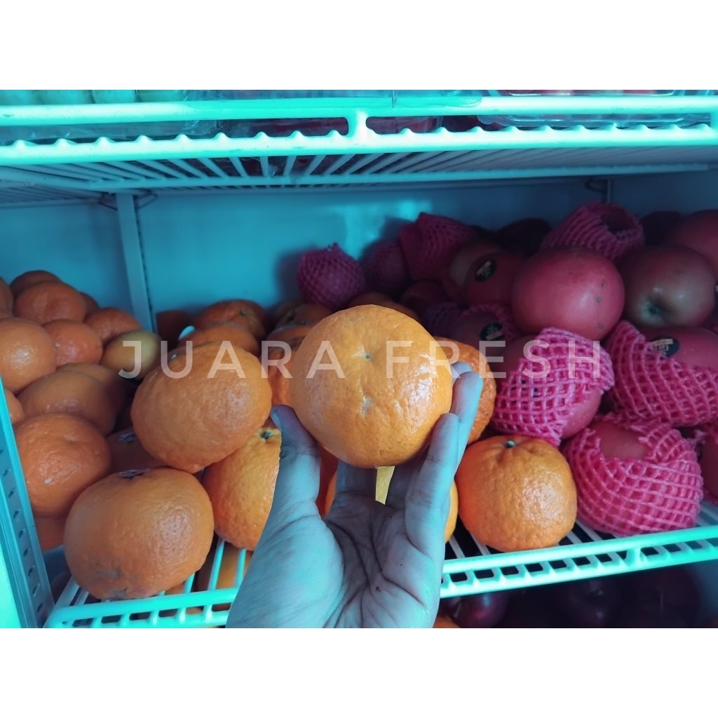 

Mandarin Wogan 500gr