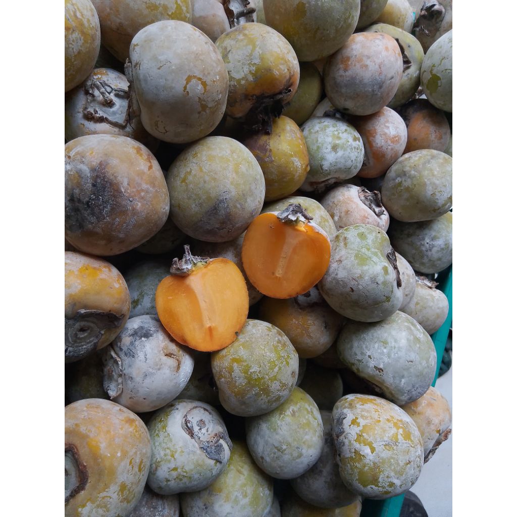 

Buah Kesemek segarKaya akan Manfaat Harga Perkilo