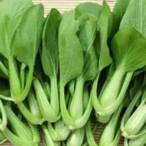 

PAKCOY 250gram / Pak Choy