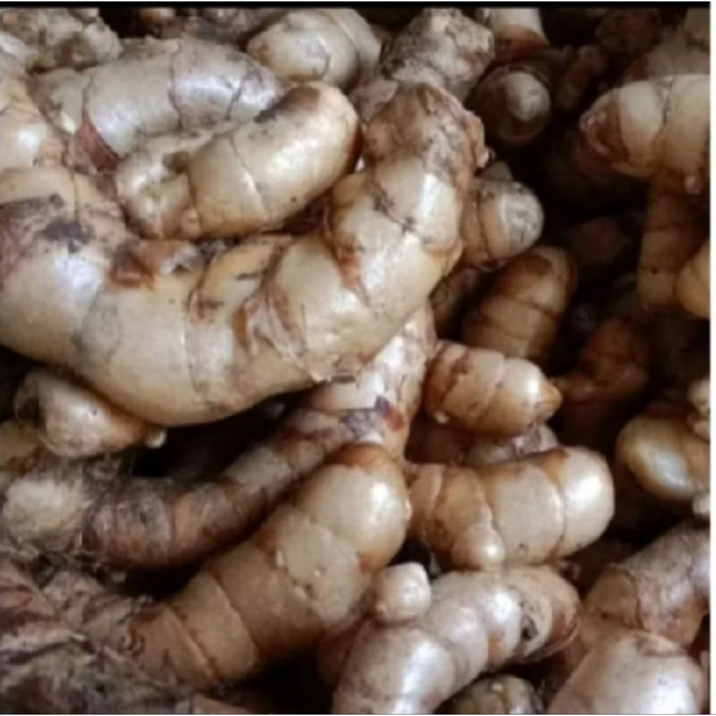 

kunyit putih terbaik herbal 1000 gram