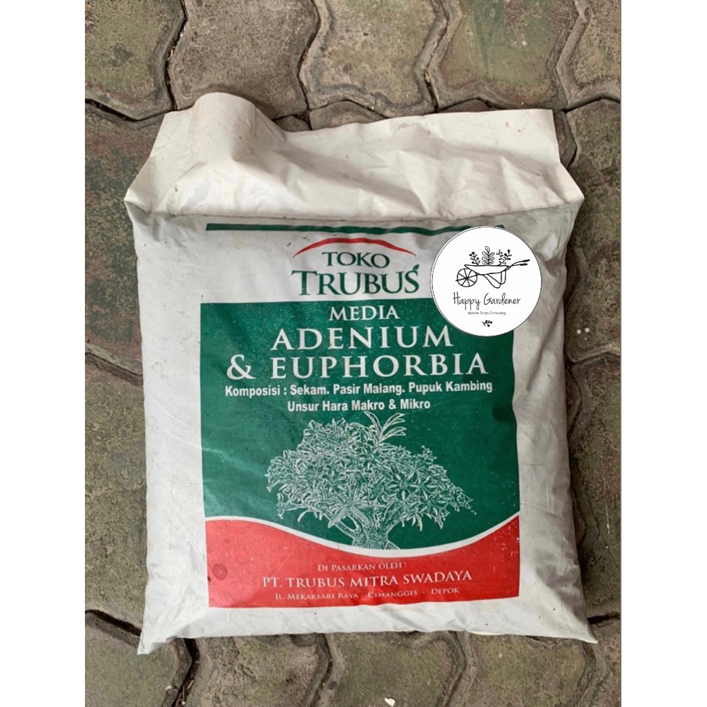 toko trubus - media tanam adenium euphorbia