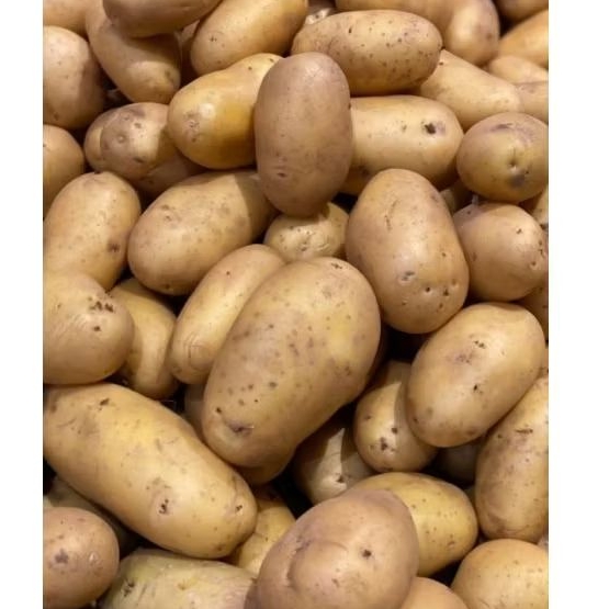 

Kentang 500 gr/1000 gr