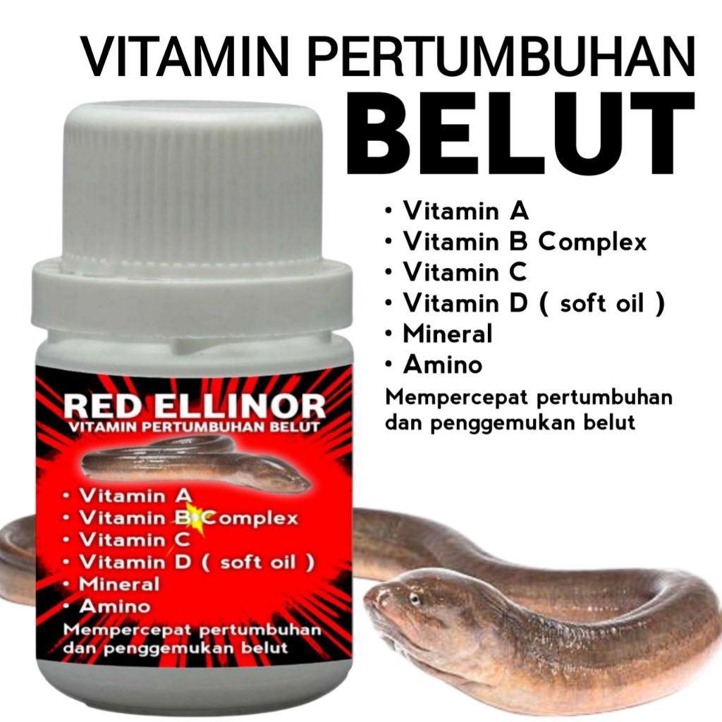 Vitamin Pertumbuhan belut ternak