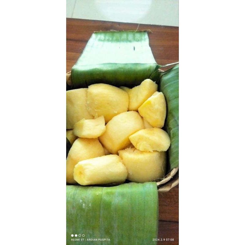 

TAPE SINGKONG MENTEGA KHAS GEMBONG JAWA TENGAH