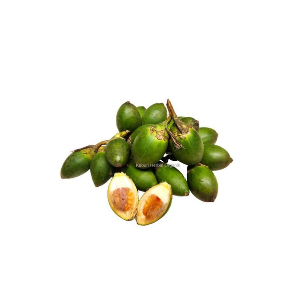 

BUAH PINANG MUDA 1KG