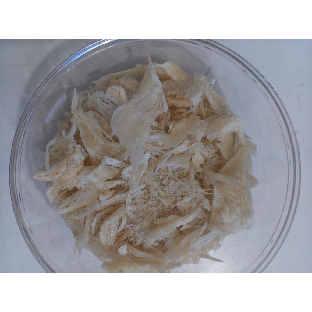 

sarang walet ancuran